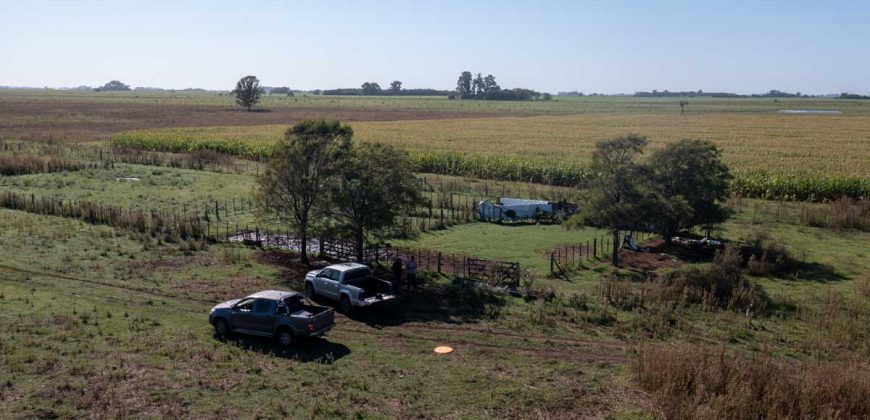 Campo de 90 hectáreas en Sol de Mayo