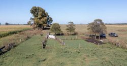 Campo de 90 hectáreas en Sol de Mayo