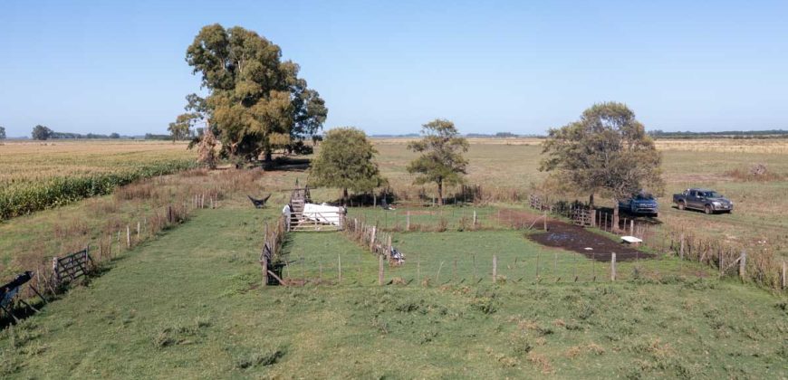 Campo de 90 hectáreas en Sol de Mayo