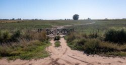 Campo de 90 hectáreas en Sol de Mayo