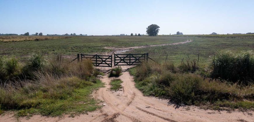 Campo de 90 hectáreas en Sol de Mayo