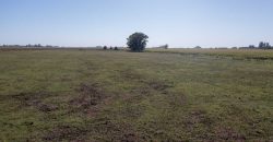 Campo de 90 hectáreas en Sol de Mayo