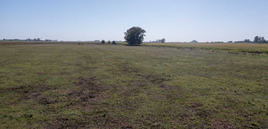 Campo de 90 hectáreas en Sol de Mayo