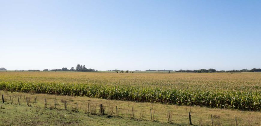 Campo de 90 hectáreas en Sol de Mayo