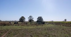 Campo de 90 hectáreas en Sol de Mayo