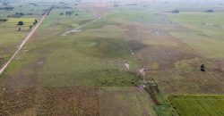 Campo de 90 hectáreas en Sol de Mayo