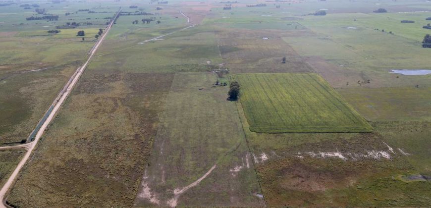 Campo de 90 hectáreas en Sol de Mayo