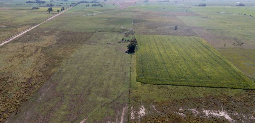 Campo de 90 hectáreas en Sol de Mayo