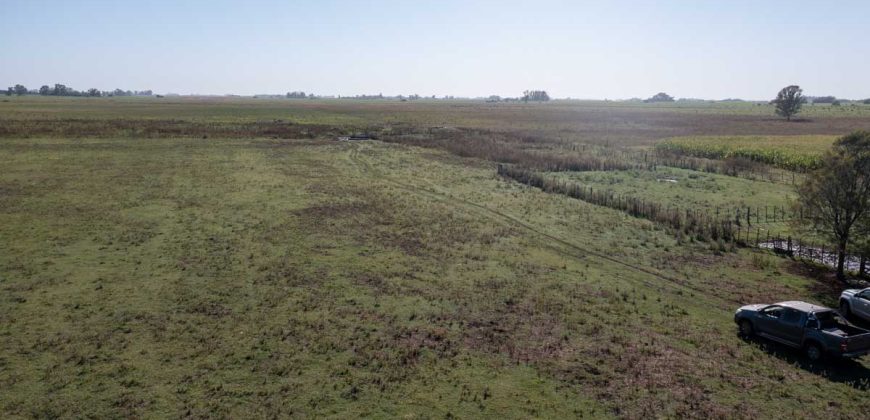 Campo de 90 hectáreas en Sol de Mayo