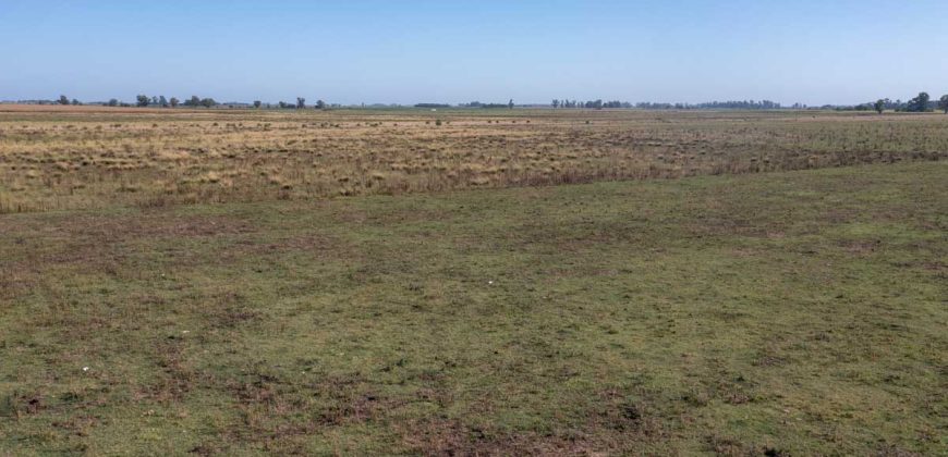 Campo de 90 hectáreas en Sol de Mayo