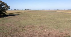 Campo de 90 hectáreas en Sol de Mayo