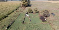 Campo de 90 hectáreas en Sol de Mayo