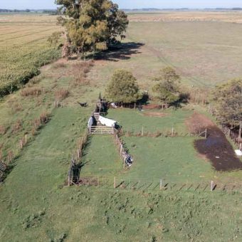 Campo de 90 hectáreas en Sol de Mayo