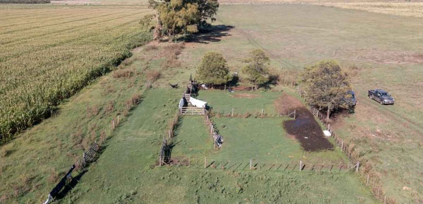 Campo de 90 hectáreas en Sol de Mayo