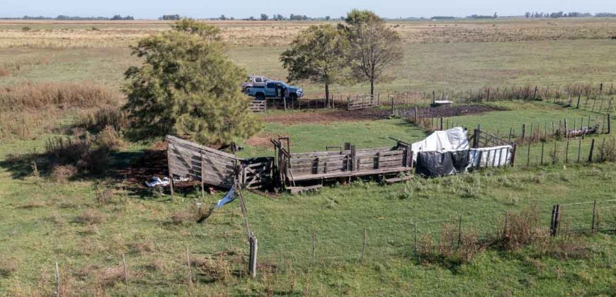 Campo de 90 hectáreas en Sol de Mayo