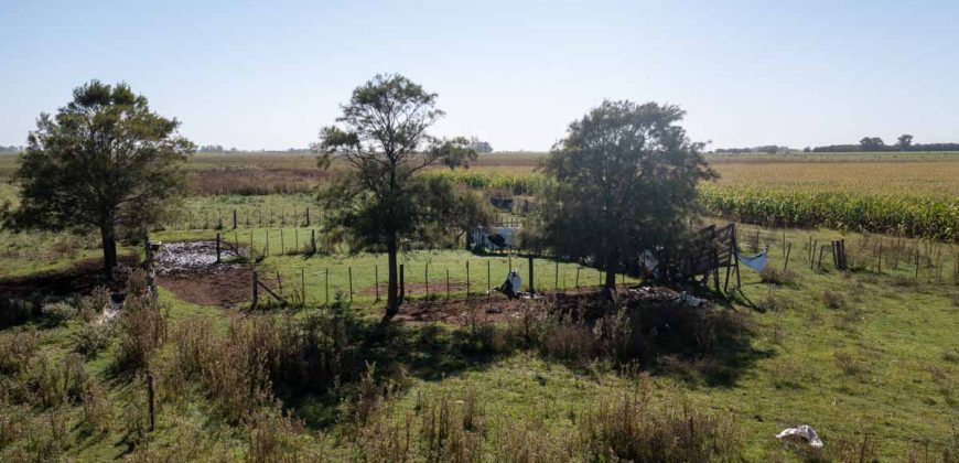 Campo de 90 hectáreas en Sol de Mayo