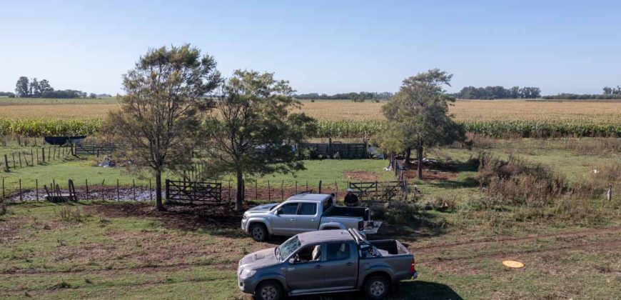 Campo de 90 hectáreas en Sol de Mayo