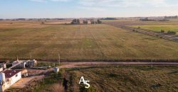 Chacra de 16 hectáreas en venta