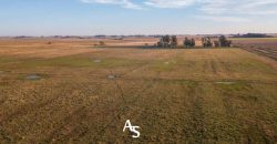 Chacra de 16 hectáreas en venta