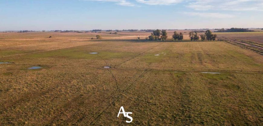 Chacra de 16 hectáreas en venta
