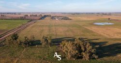 Chacra de 16 hectáreas en venta