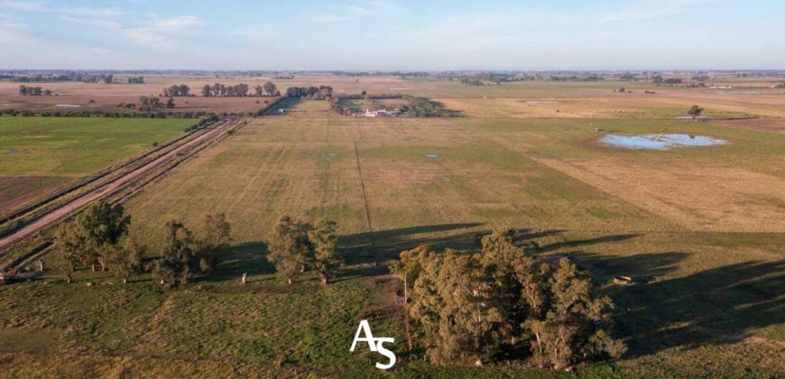 Chacra de 16 hectáreas en venta