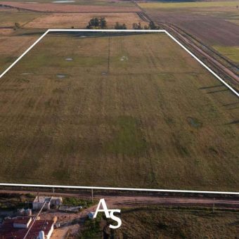 Chacra de 16 hectáreas en venta