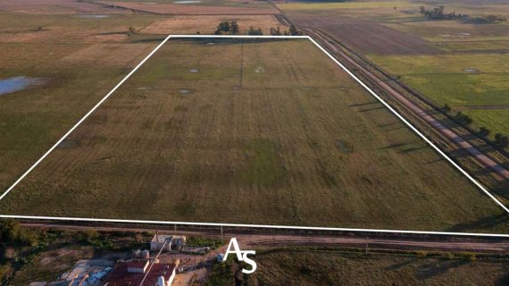 Chacra de 16 hectáreas en venta
