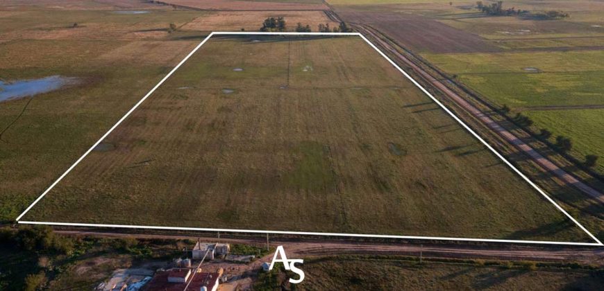 Chacra de 16 hectáreas en venta