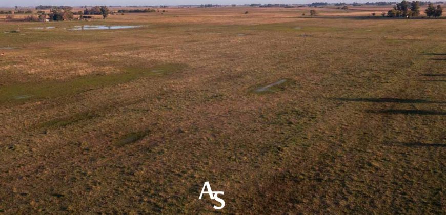 Chacra de 16 hectáreas en venta