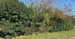 Gran terreno con casa de 135 m2