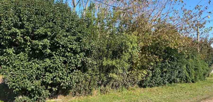Gran terreno con casa de 135 m2