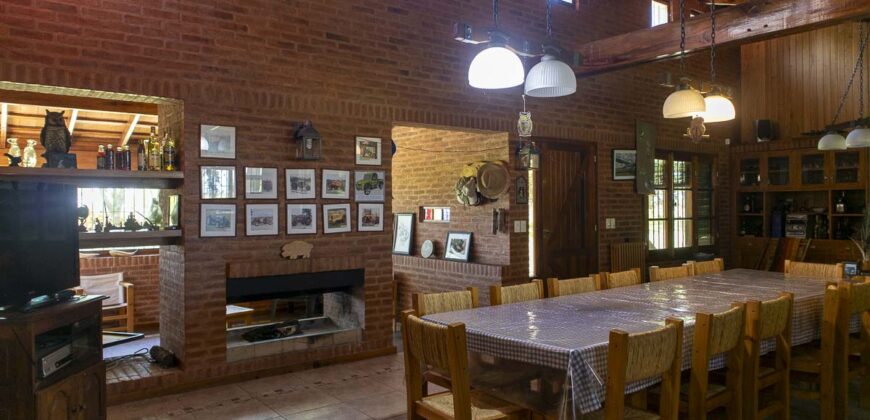 Campo de 38 hectáreas en Navarro