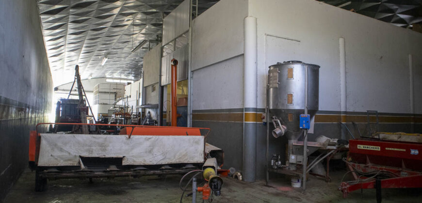 Campo de 38 hectáreas en Navarro