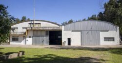 Campo de 38 hectáreas en Navarro