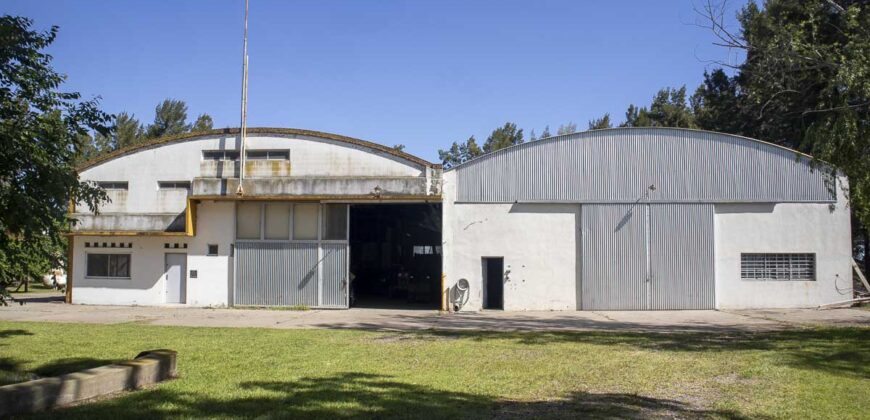 Campo de 38 hectáreas en Navarro