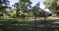 Campo de 38 hectáreas en Navarro