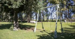 Campo de 38 hectáreas en Navarro