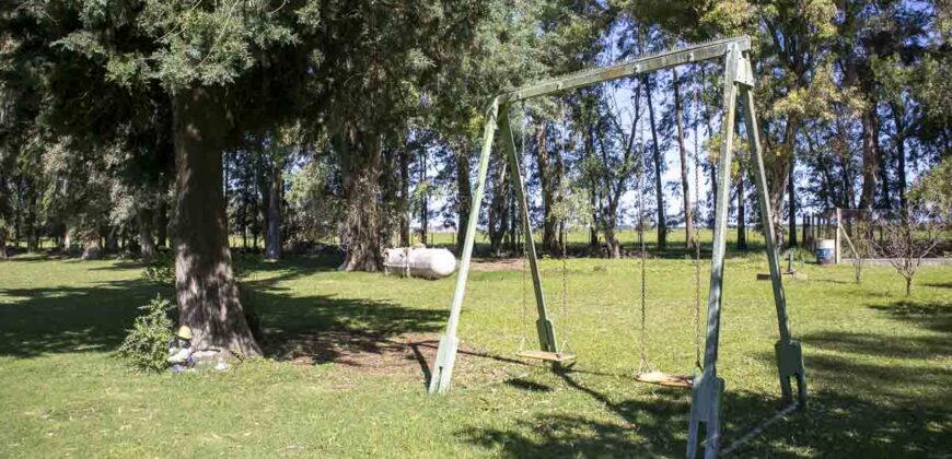 Campo de 38 hectáreas en Navarro