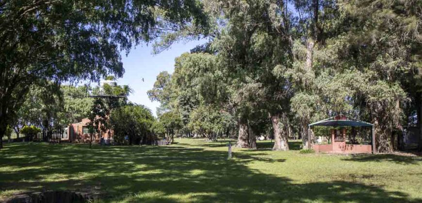 Campo de 38 hectáreas en Navarro