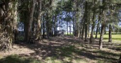 Campo de 38 hectáreas en Navarro