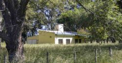 Campo de 38 hectáreas en Navarro