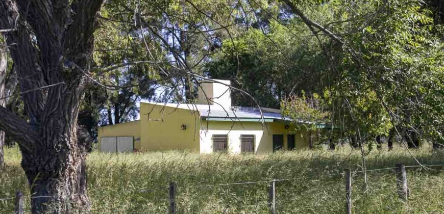 Campo de 38 hectáreas en Navarro