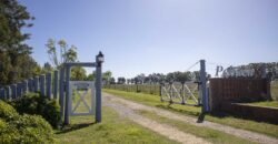 Campo de 38 hectáreas en Navarro