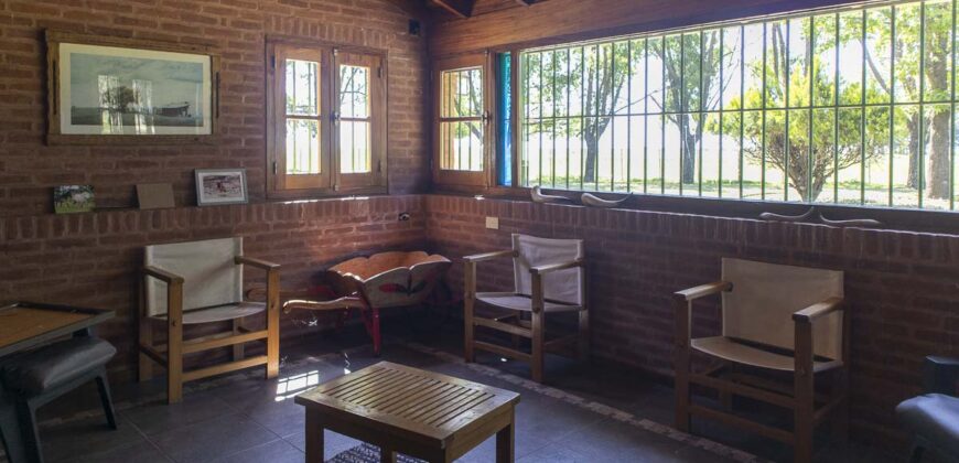 Campo de 38 hectáreas en Navarro