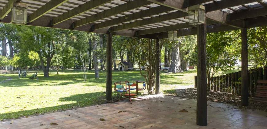 Campo de 38 hectáreas en Navarro