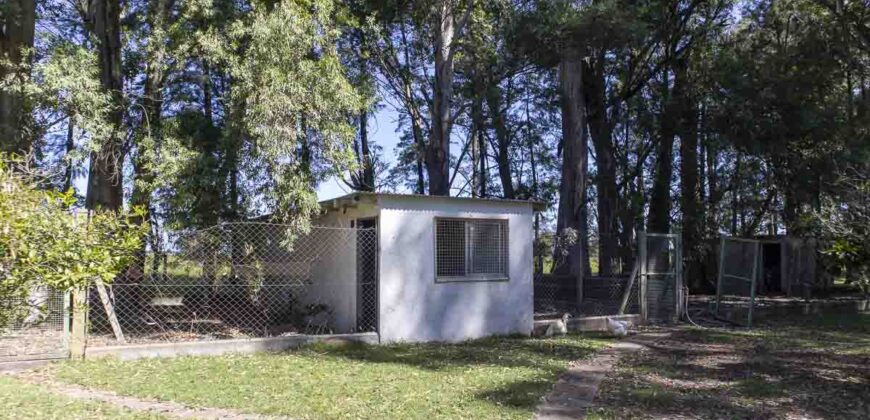 Campo de 38 hectáreas en Navarro