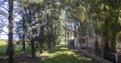 Campo de 38 hectáreas en Navarro