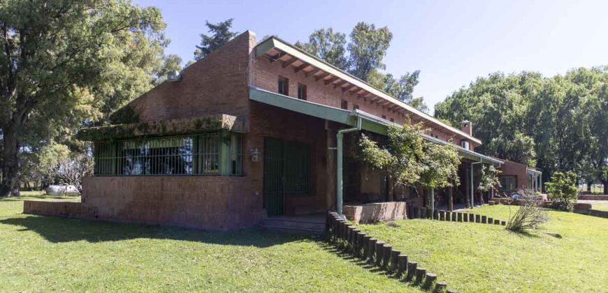 Campo de 38 hectáreas en Navarro