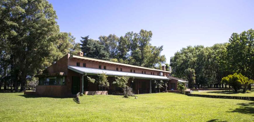 Campo de 38 hectáreas en Navarro